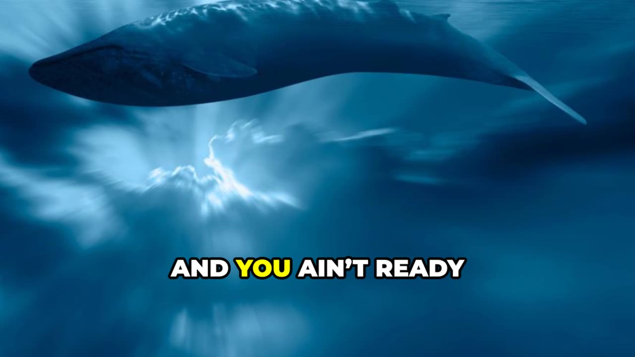 Unlock the Cipher: Epic Rap Story & Spirit Animal Quest