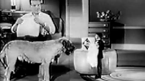 Commercial - Kleenex Napkins w little tiny butler & giant dog 1958