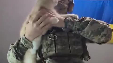 🐱🇺🇦 Ukraine Russia War | Heartwarming Moment with Ukrainian Soldier and Cat | RCF