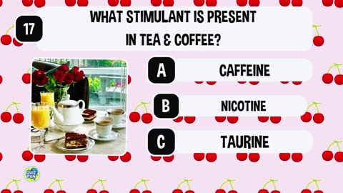 Oh I'm lost 50 quizzes