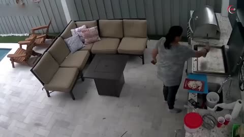 Most Incredible Backyard Moments Caught On Camera