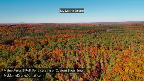 Maine B-Roll (No Sound): Fall Foliage at Lily Pond in New Gloucester, Maine Video 29