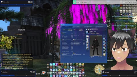 daily stream