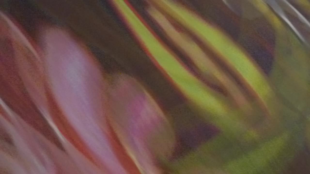 The Wendi primate wandering about the casino, filming the lovely FLORel...well...floor!