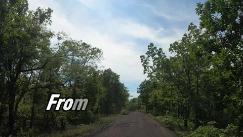Gunjewahi Forest Video