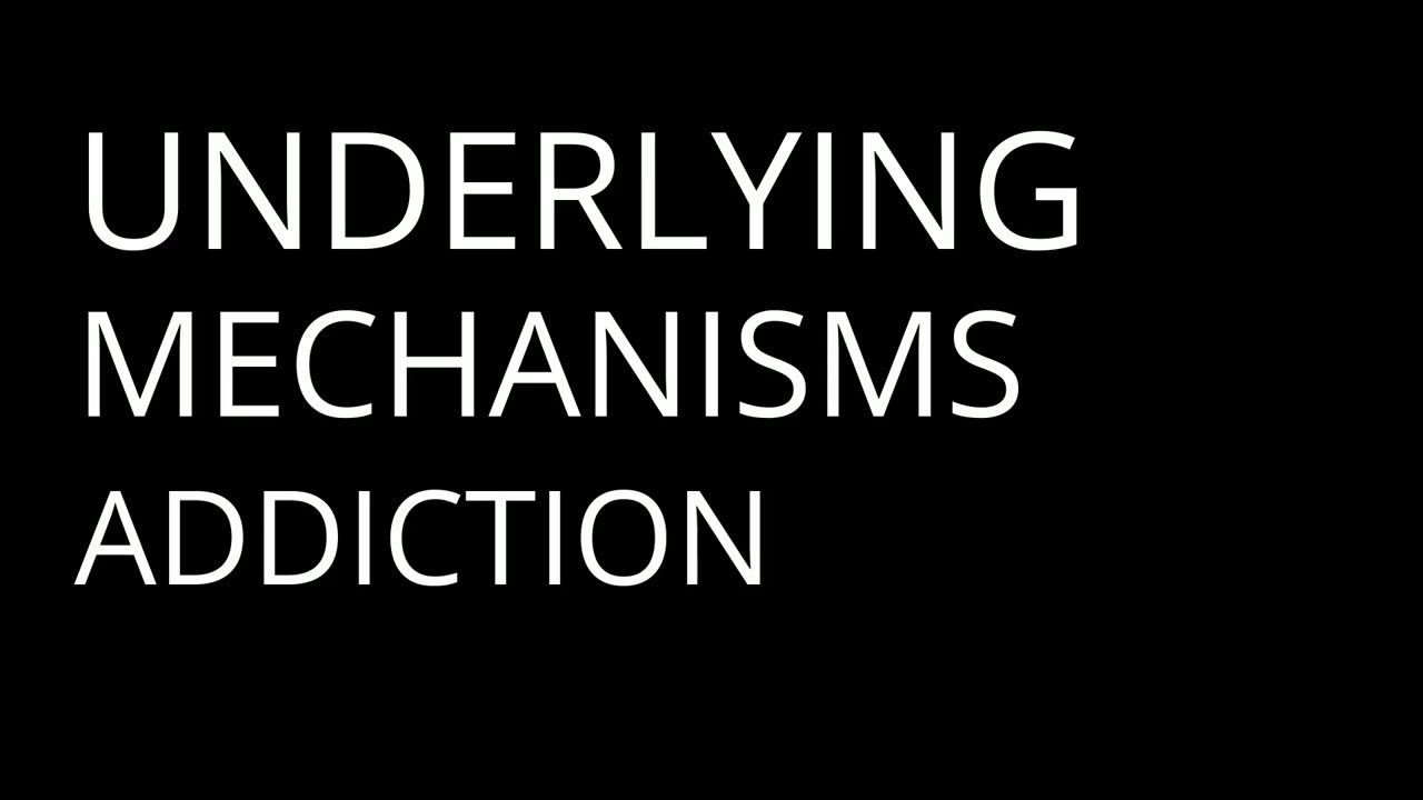 Cocaine's Dark Embrace: The Truth They Hide | Dostoevsky - Part 4