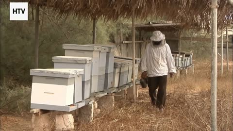 Survival of the Quick and the Clever