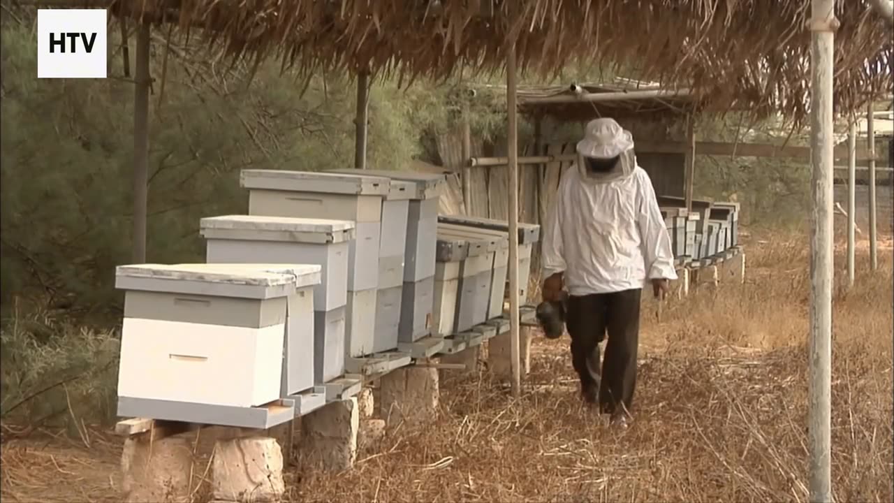 Survival of the Quick and the Clever