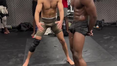 Testing abs