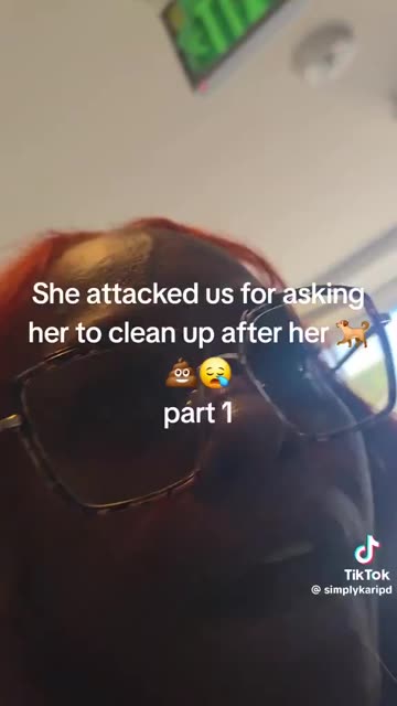 Black lady and pit bulls enrichment