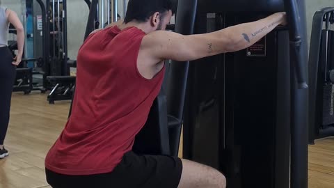 Lever Seated Reverse Fly / Voador Dorsal Pegada Pronada