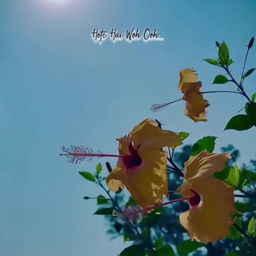 Pyar kabhi jhukta nahin...