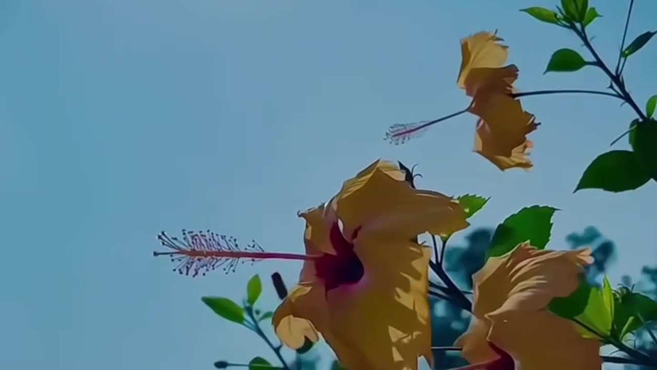 Pyar kabhi jhukta nahin...