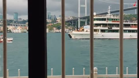 Daily Horoscope | Scorpio 🌟