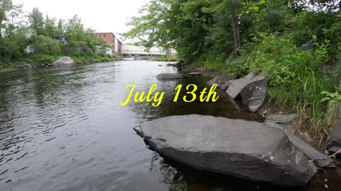 River hunts with a bit of silvah