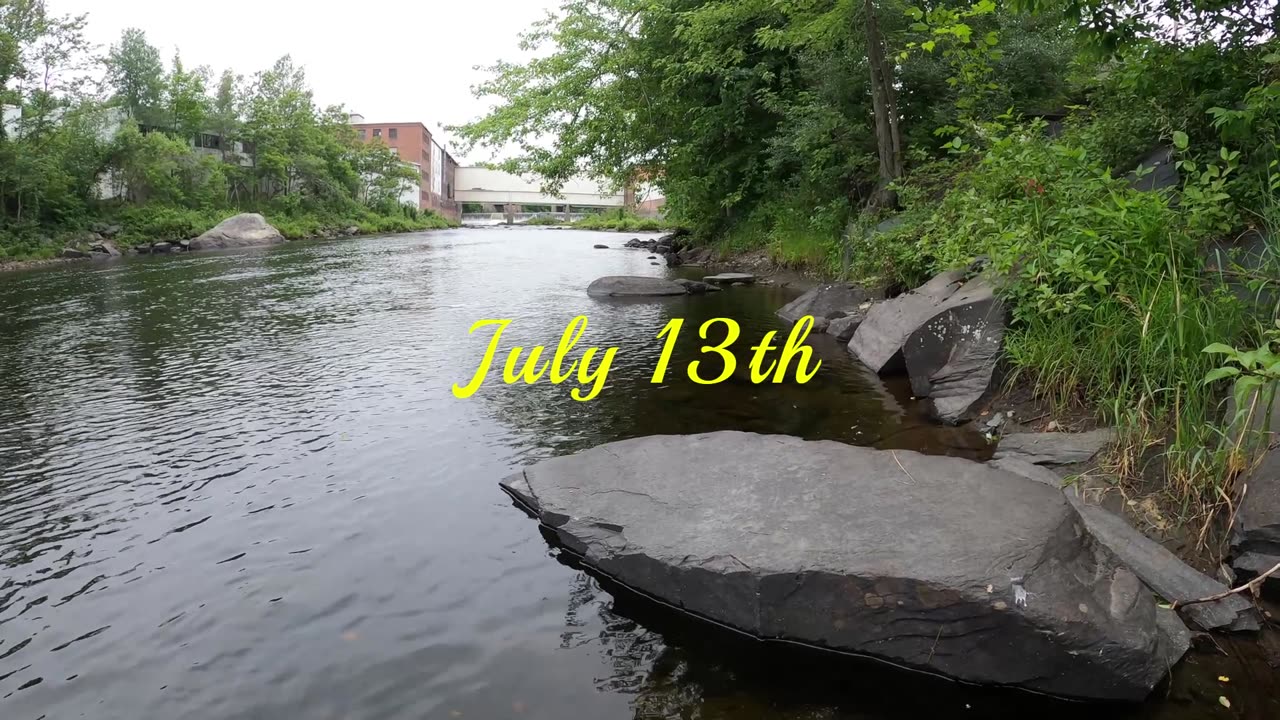 River hunts with a bit of silvah