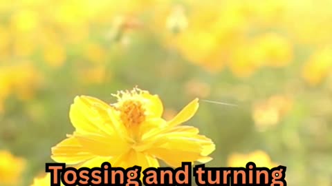 Indian Subcontinent Sleep Issues#ElderCare 🧓 #SleepTips 😴 #CalmNights 🌙 #RestEasy 🛏️ #GoldenYears 🌟