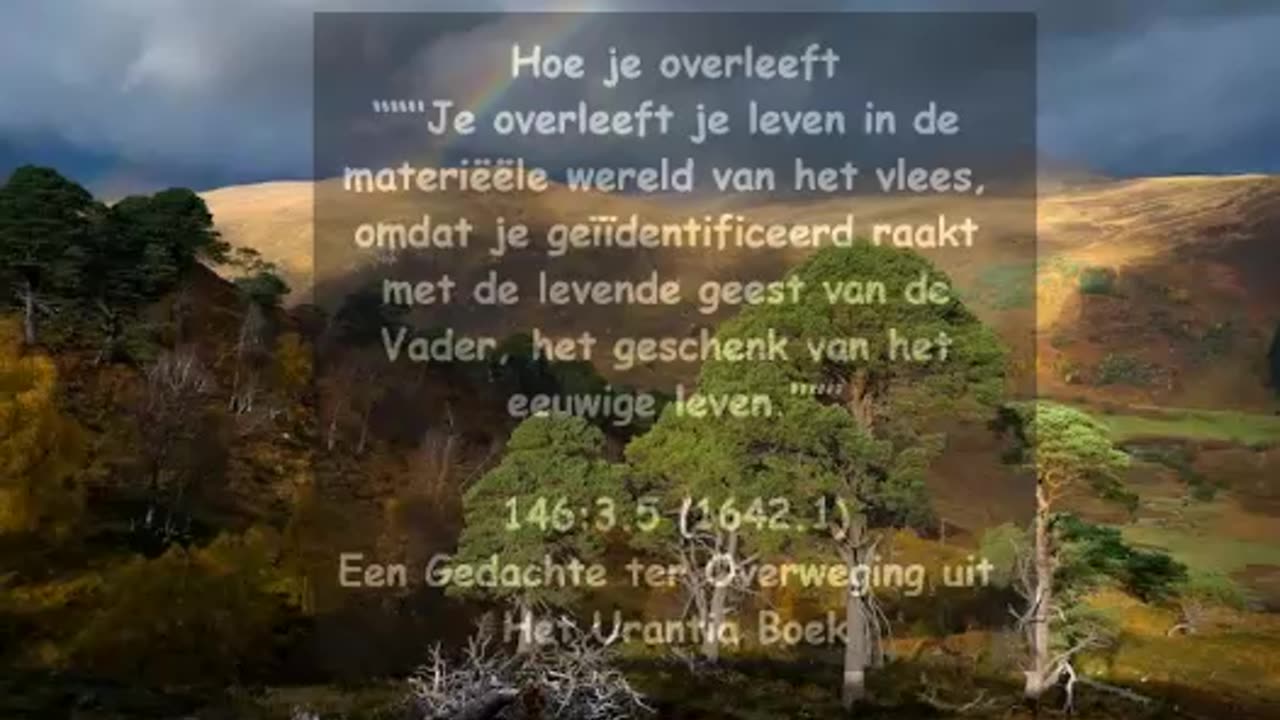 Hoe Je Overleeft