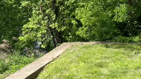 Walk Around NJ, Bridge at Delaware