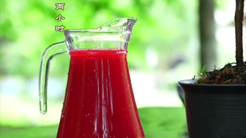 Cooking stir-fried eel and bayberry juice