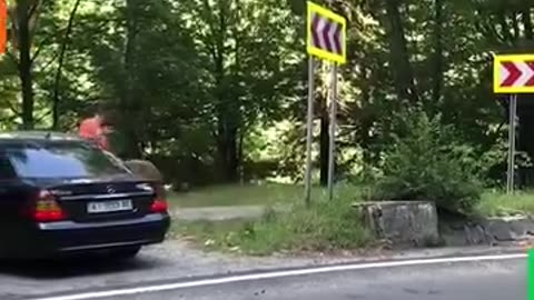 What Would You Do If This Was Chasing You? | Wild & Unexpected Chase Moments