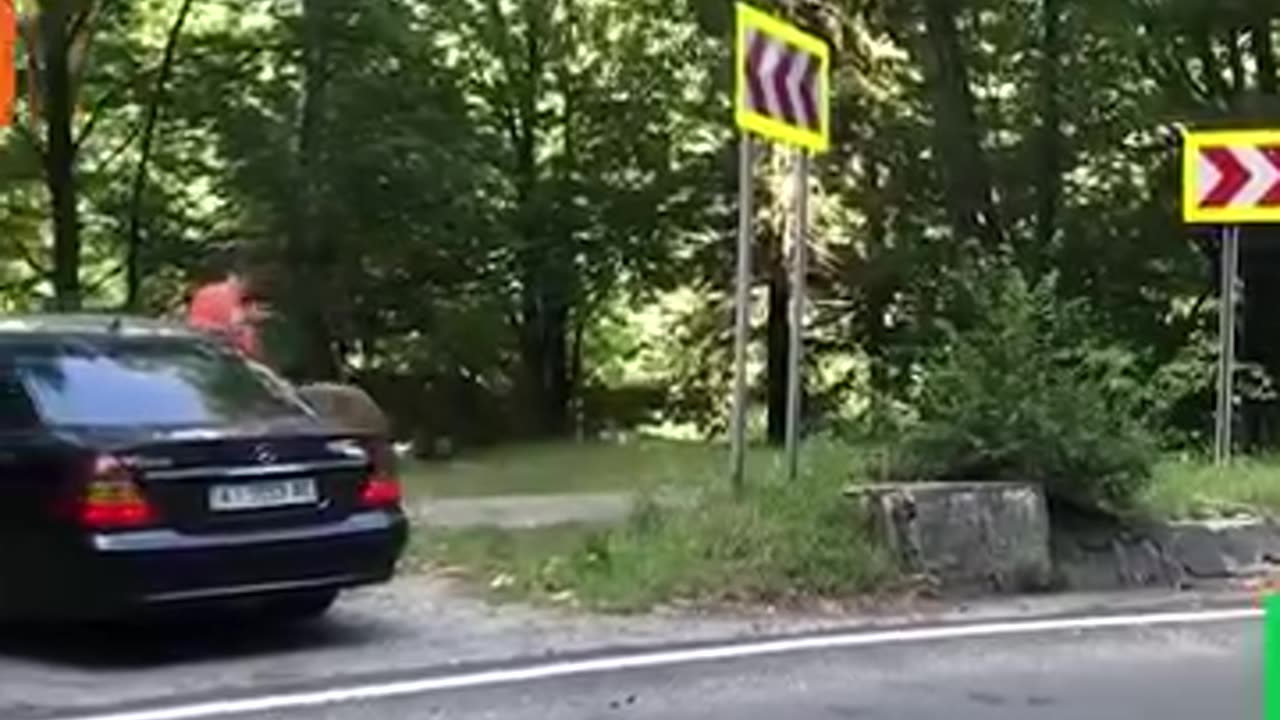 What Would You Do If This Was Chasing You? | Wild & Unexpected Chase Moments