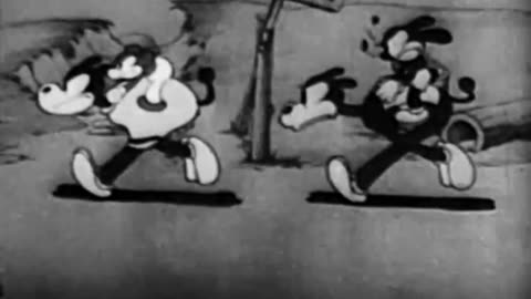 Woody Woodpecker and Friends - 1931x12 - Kentucky Belles