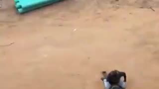 ICE tackles illegals to the ground at a Construction site in Tallahassee Florida
