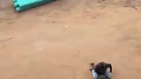 ICE tackles illegals to the ground at a Construction site in Tallahassee Florida