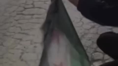 🇸🇾 🔥 Syria on Fire: After the “non-terrorist” Joulani smashed the Kurds in Aleppo…