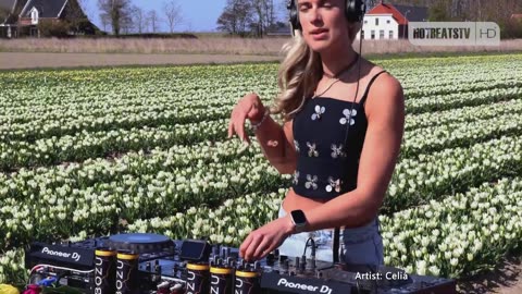 🔴 [HD+] Electronic Music Experience from Clubs, Events, Festivals and Studio Sessions 🎧🎶
