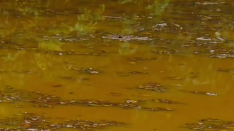 Clean Water Crisis: Amazing Projects Saving Lives