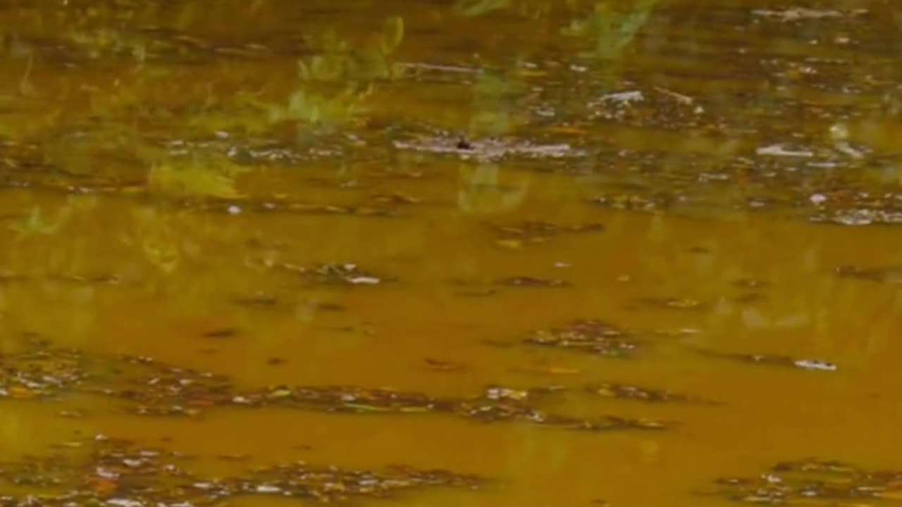 Clean Water Crisis: Amazing Projects Saving Lives