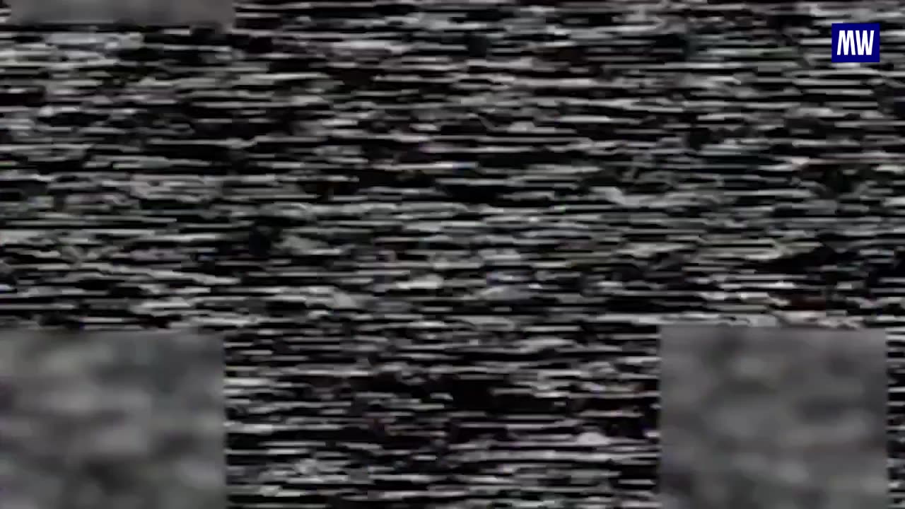 Destruction of Ukrainian Forces
