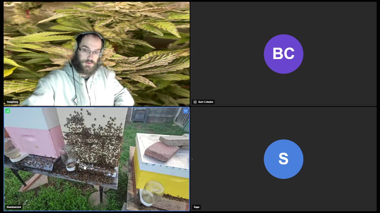 Burg's Lounge.. Hanging Out w/Frens #Live #Cannabis #420