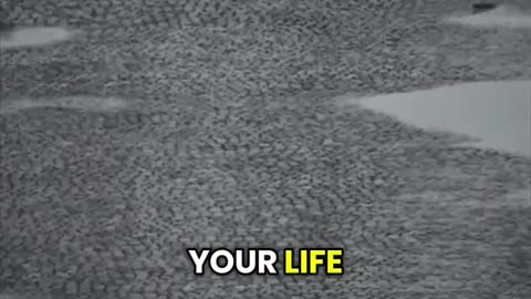 Motivation