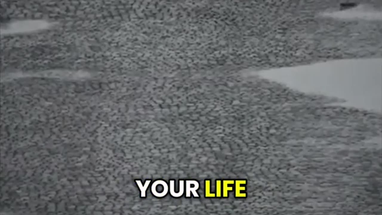 Motivation