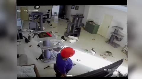 FUNNIEST Animal Videos of 2025 Will Leave You SPEECHLESS