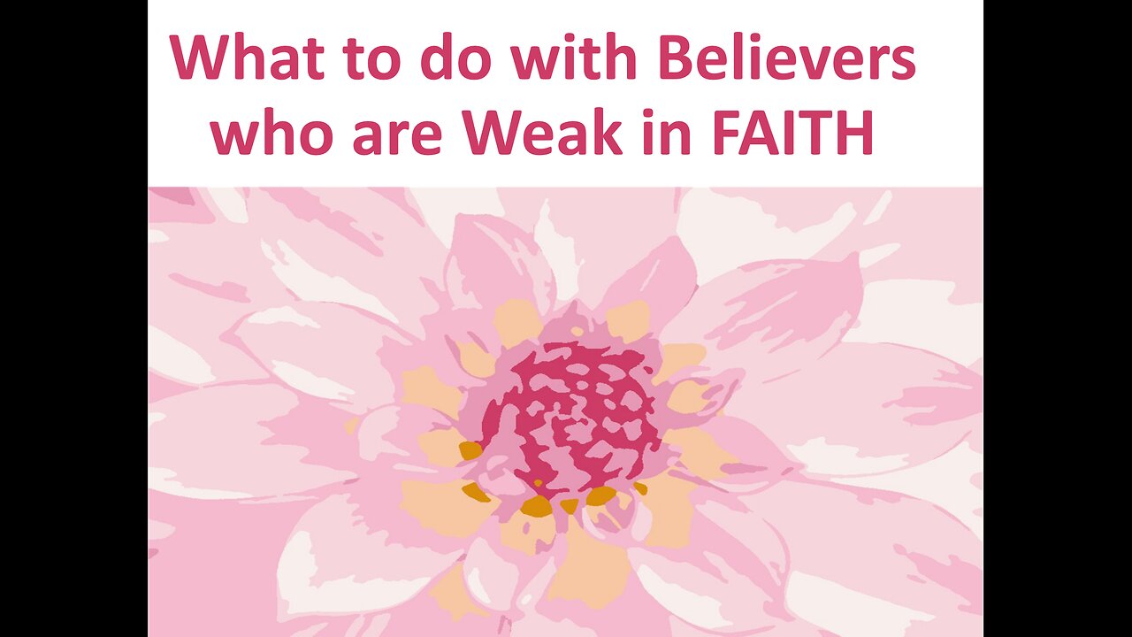 April 20 (Year 4) What does Romans 14:1 mean (doubtful things)? - Tiffany Root & Kirk VandeGuchte