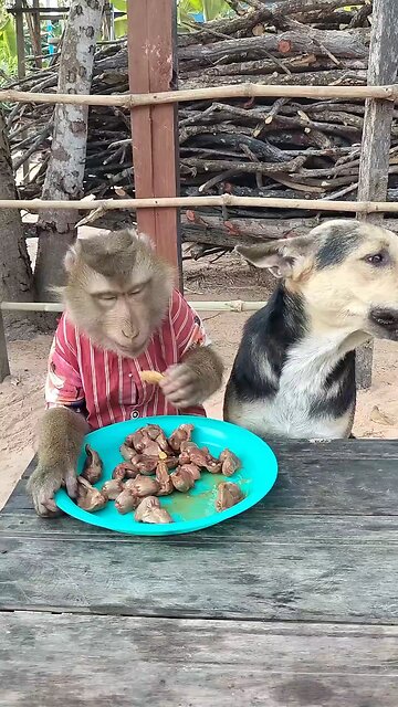 Good Job Best SokYaa, OG, Pao & Mom Are Famous Around The World #shorts #anime #trend #edit