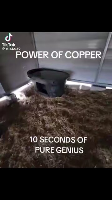 POWER OF COPPER FOR ANIMALS & HUMANS