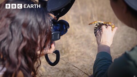 Photographing Nature's Smallest Wonders in South Carolina | BBC Earth Explore