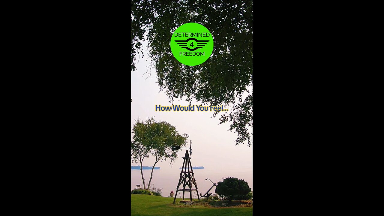 How Would You Feel...