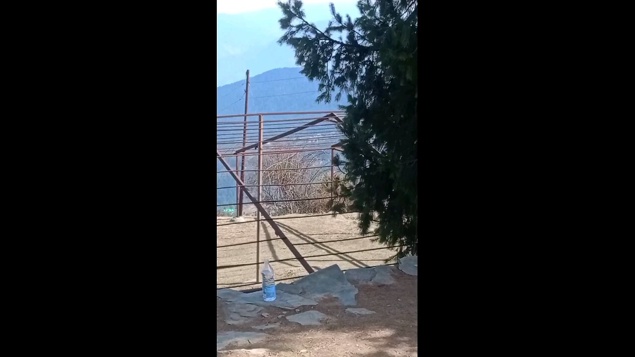satisfying Video