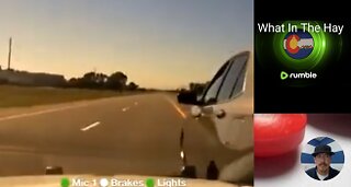 POLICE CHASES: CRIMINAL MIGRANT EDITION