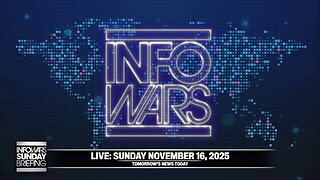 INFOWARS SUNDAY BRIEFING - 11/16/2025: MAGA Base Erupts Into Civil War After Trump Meltdown On MTG and Epstein Files