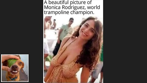Memes That Will 99.0209% Make You Laugh. (e433)