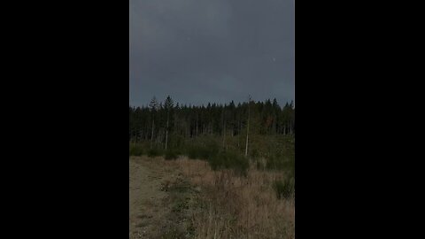 REPENTANCE leads to transformation