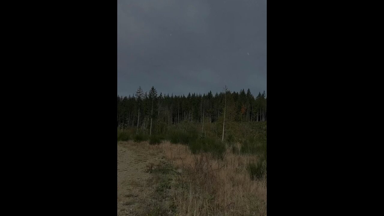 REPENTANCE leads to transformation