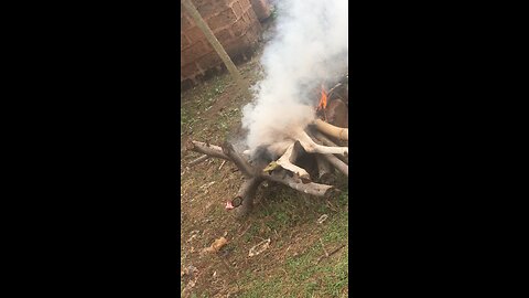 2025 Sallah Prep: Full Ram Slaughtering Process (PART 3)